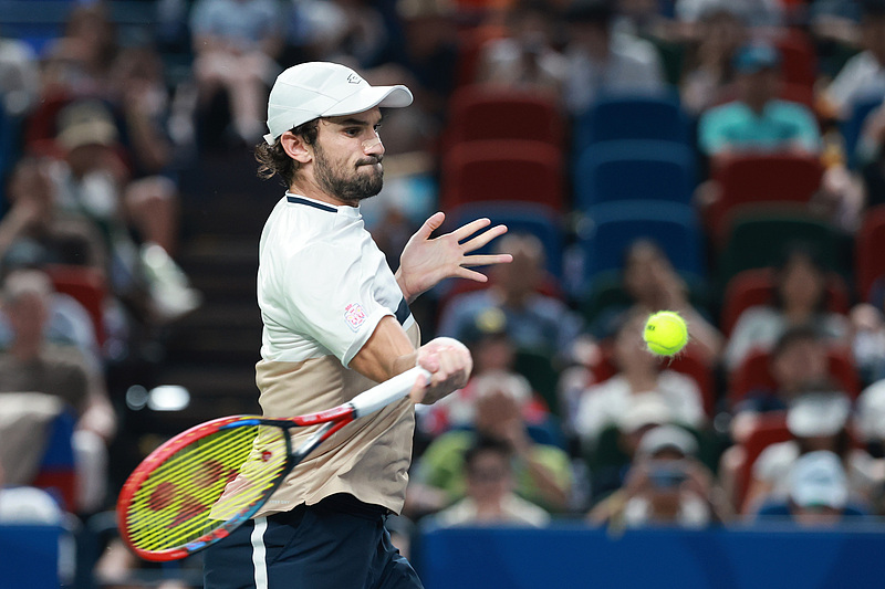 entit, 号种子布勃 entit, 号种子布勃